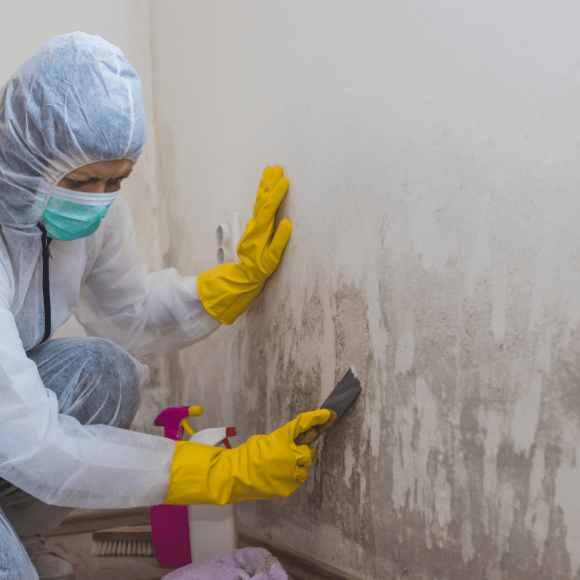 mold removal in phoenix